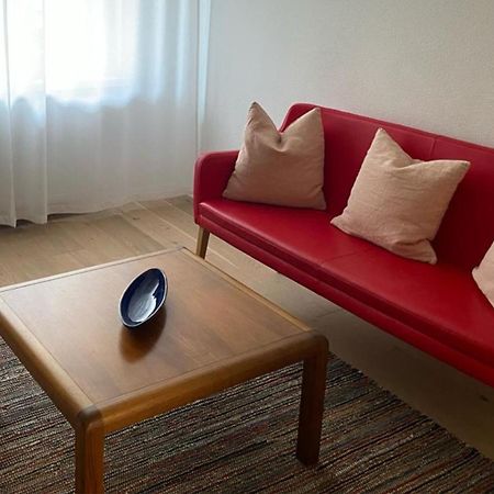H2 With 3,5 Rooms, 2Br, Living Room And Kitchen, Central And Quite Ζυρίχη Εξωτερικό φωτογραφία
